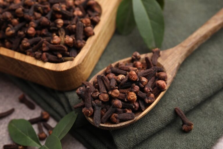 درمان طبیعی بوی بد دهان با میخک؛ گیاهی کوچک با اثراتی بزرگ