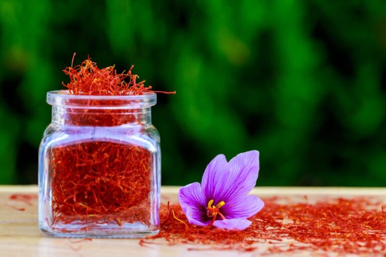 زعفران و راز جوانی: چگونه طلای سرخ ایرانی می‌ تواند روند پیری را کند