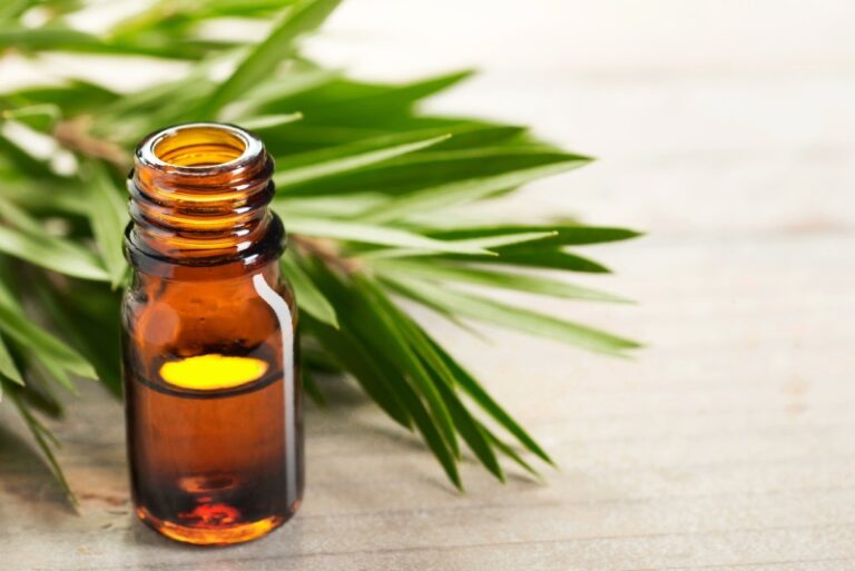 روغن درخت چای برای پوست و مو و زیبایی