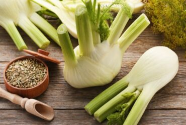 آیا رازیانه باعث افزایش شیر مادر می شود؟ بررسی فواید، عوارض و روش مصرف