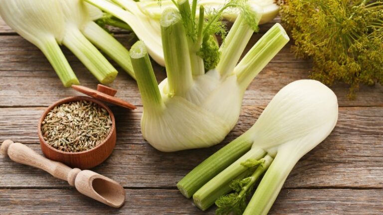 آیا رازیانه باعث افزایش شیر مادر میشود؟ بررسی فواید، عوارض و روش مصرف
